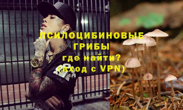 соль ск Волоколамск